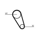 Audi VW Timing Belt