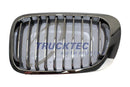 BMW Radiator Kidney Grille Left