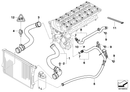 BMW Engine Coolant Radiator Hose