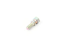 BMW Fracture Bolt