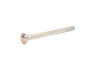 BMW Saucer Head Screw