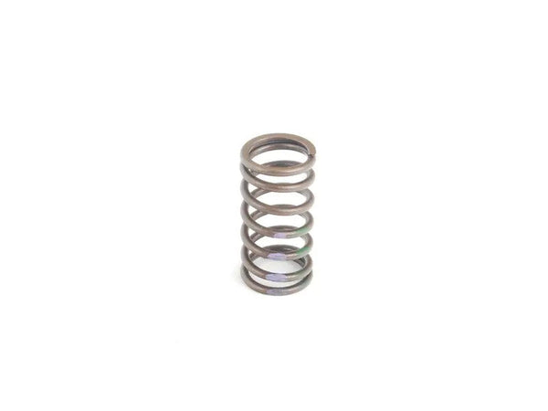 BMW Valve Spring