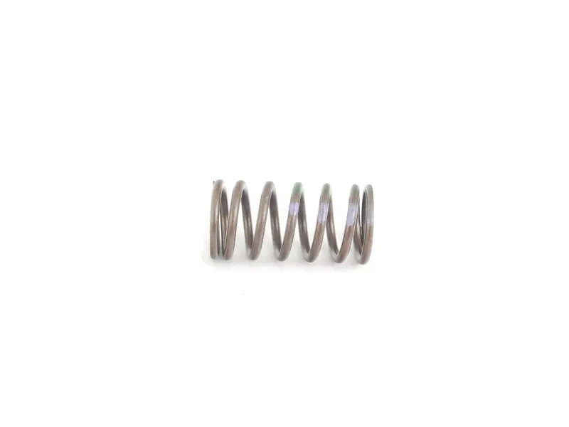BMW Valve Spring