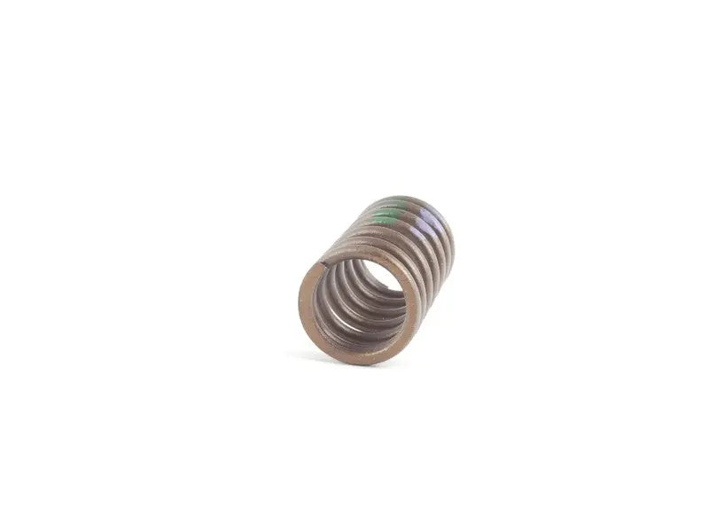 BMW Valve Spring