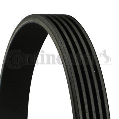 BMW V-Ribbed Belt