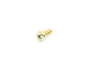 BMW Fillister Head Screw