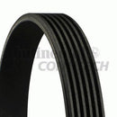 Audi BMW VW V-Ribbed Belt