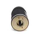 BMW Pneumatic Air Spring Suspension