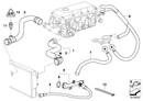 BMW Engine Coolant Radiator Hose