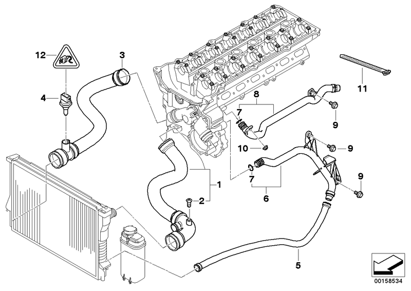 BMW Engine Coolant Radiator Water Hose