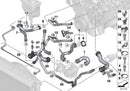 BMW Radiator Hose