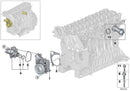 BMW Thermostat and Housing Coolant with Seal
