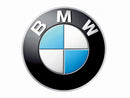 BMW Grille Lower Right