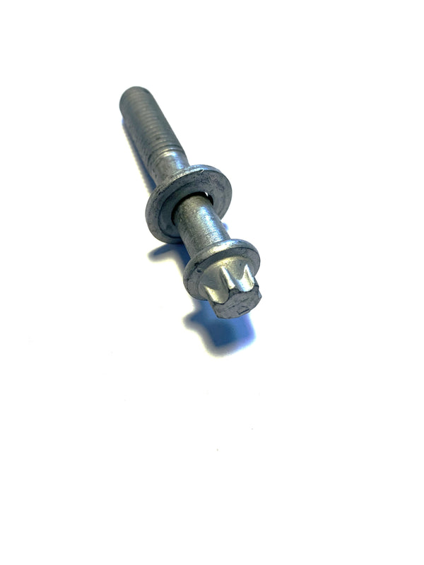 BMW Torx Bolt with Washer