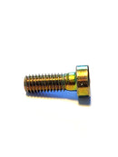 BMW Fillister Head Screw