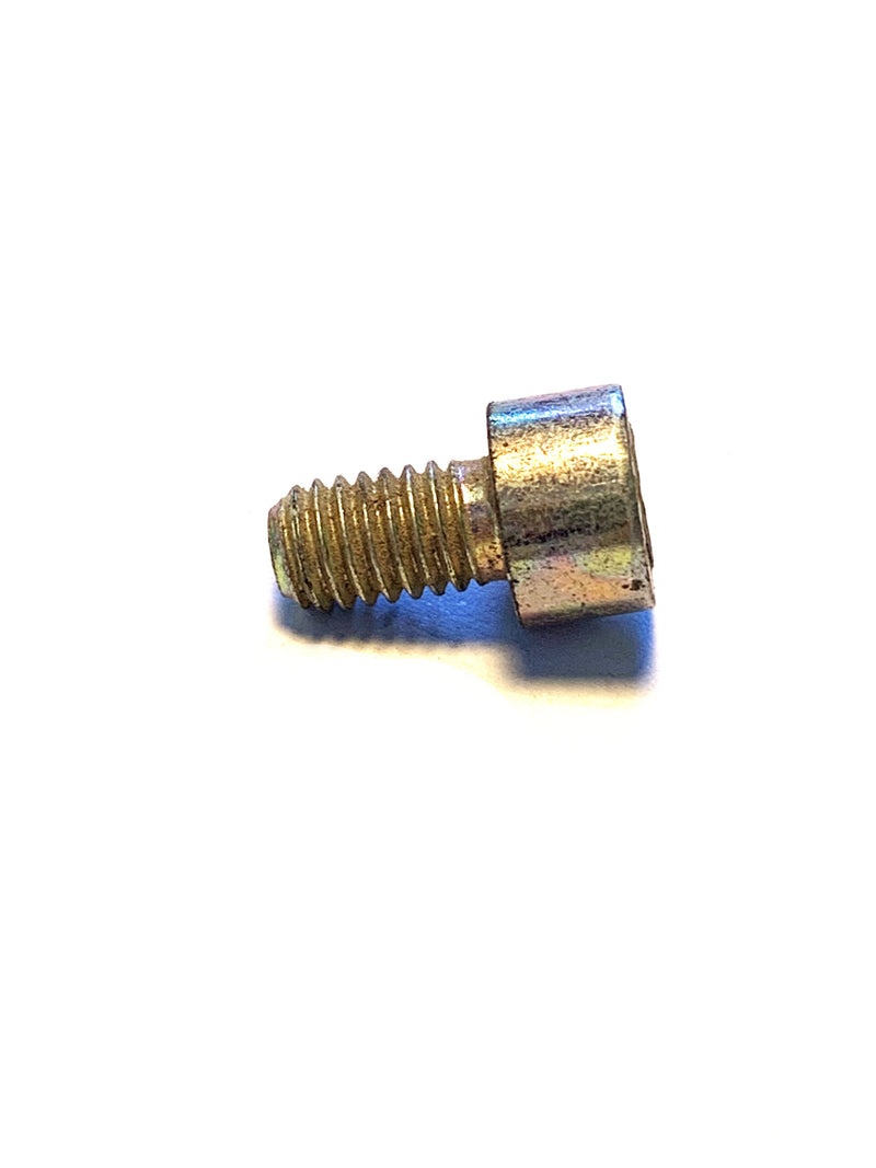 BMW Fillister Head Screw