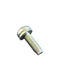BMW Mini Torx Bolt with Washer