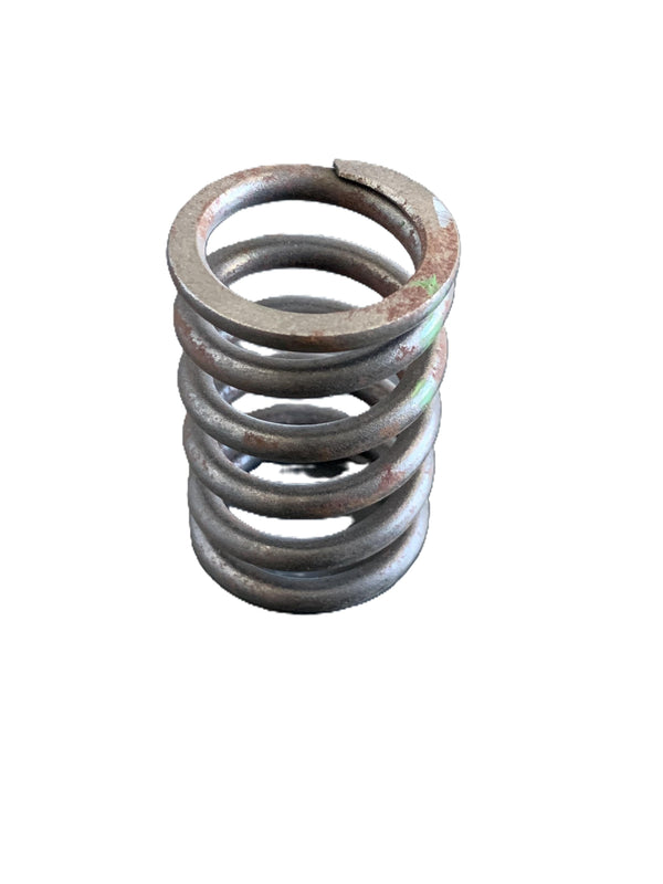 BMW Valve Spring