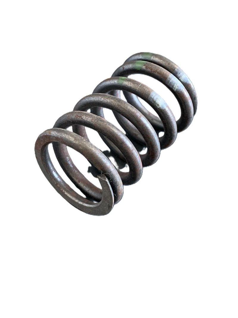 BMW Valve Spring