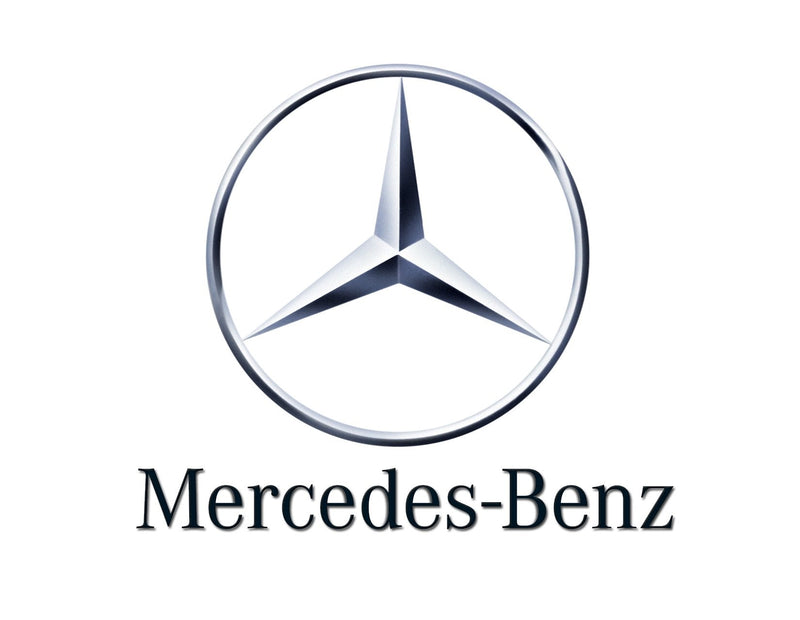 Mercedes-Benz Door Grab Interior Handle Right