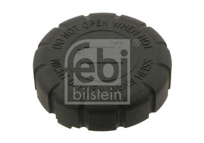 Mercedes-Benz Coolant Expansion Tank Cap