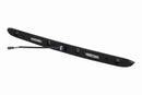 BMW Boot Trunk Handle with Key Button