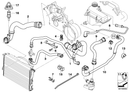 BMW Hose Clamp