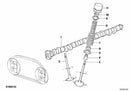 BMW Valve Spring