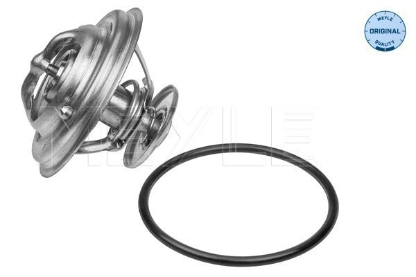 BMW Thermostat and Seal Engine Coolant