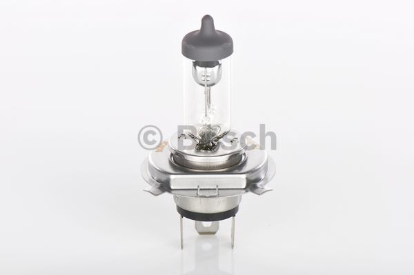 Genuine Bosch Audi BMW Mercedes-Benz Mini Porsche Halogen Headlight Bulb