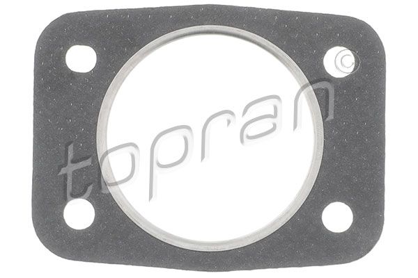 BMW Exhaust Pipe Gasket