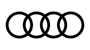 Audi VW Drive Belt Tensioner Lever V Ribbed