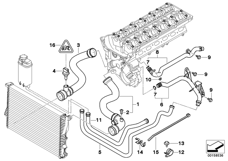 BMW Engine Coolant Radiator Water Hose