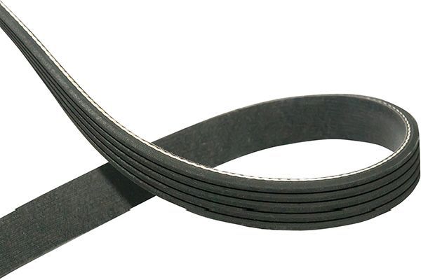 BMW V-Ribbed Belt